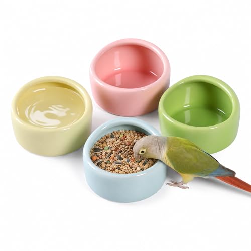4 Stück Hamster Napf, Hamster Futternapf Keramik Meerschweinchen Napf Meerschweinchen Futternapf Wasserschale für Haustiere Meerschweinchen Vogel Kleine Haustiere