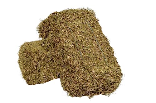 agrar-Store 20kg Heu Wiesenheu Heuballen frisch direkt ab Hof Futter für Meerschweinchen Kaninchen Nager Hamster Hasen Meerschweinchenheu Hasenheu