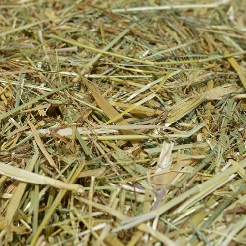 agrar-store 5Kg Premium-Heu 2.Schnitt Kräuterheu Grummet Heuballen Wiesenheu Meerschweinchenheu frisch & unbehandelt