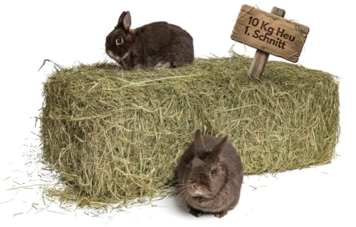 agrar-Store Heu 10kg Heuballen Wiesenheu 1.Schnitt Kaninchenheu Meerschweinchenheu Stroh frisch & unbehandelt, Ernte 2026