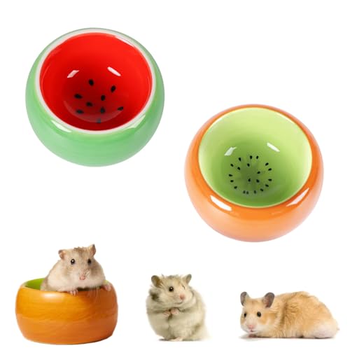 bangminda Hamster Näpfe Set 2 Stück Keramik Futterschalen für Kleintiere Anti-Biss Keramische Hamster Futternapf Schälchen für Meerschweinchen (Kiwi-Set)