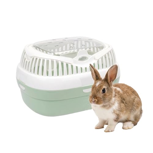 Ferplast Transportbox für Hamster und andere kleine Nagetiere Aladino Large Reisekäfig für Hamster, Farbiger Boden mit transparentem Deckel, 36 x 26 x h 23 cm, grün