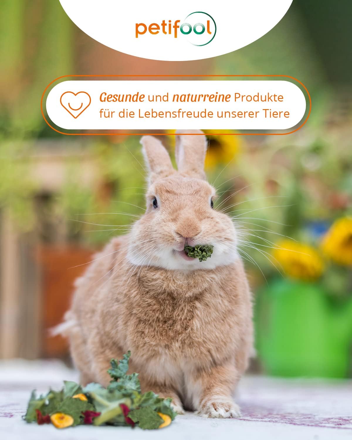 Gesundes Nagerfutter für Kaninchen Meerschweinchen — Ansicht 2