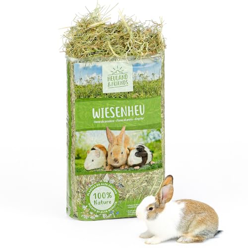 Heuland Wiesenheu 1kg – für Kaninchen, Meerschweinchen & Hasen – naturbelassenes Premium-Heu aus artenreicher Wiese – sonnengetrocknet – hoher Rohfaseranteil – für Verdauung & Zahnabrieb (1kg)