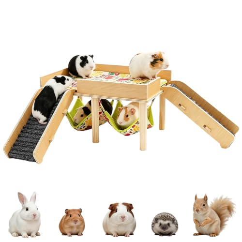 Meerschweinchen Haus - Holz Meerschweinchen Gehege mit Hängematte und Rampe