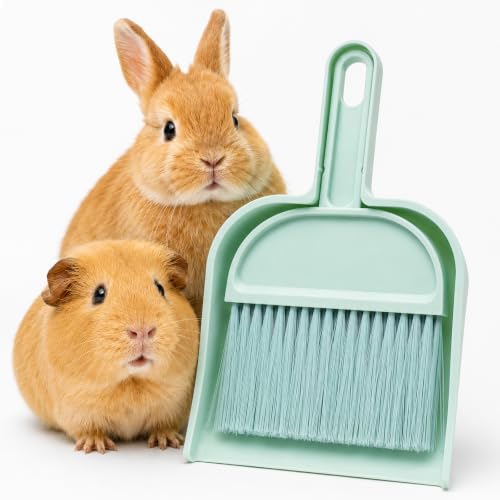 Meerschweinchen Reinigungsset,Mini Kehrschaufel mit Handbesen