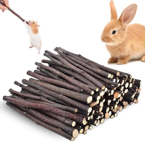 RFYTDCF 250g Hamster Kauspielzeug, Kaninchen Kauspielzeug Apfel Holz Nager Bunny Kaustock Apfelstäbchen Hamster Zubehör Backenzahn und Zähneknirschspielzeug für Kleine Haustiere